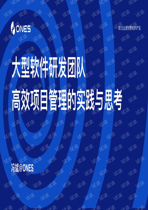 大型软件研发团队高效项目管理的实践与思考 以教育软件为例